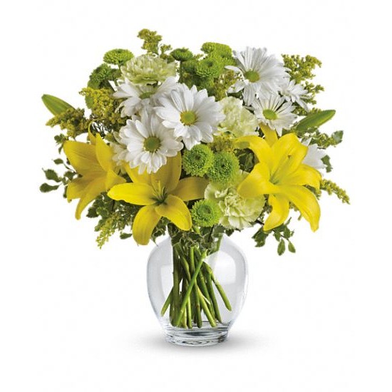 Floraison lumineuse de Teleflora